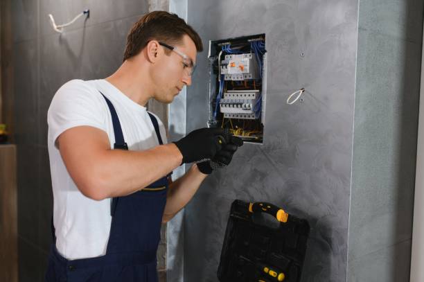 Best Ceiling Fan Installation Electrician  in Norfolk, NE